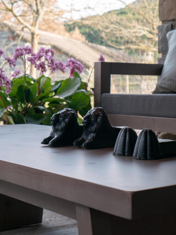 Casa Rural Aracancias Borrastre エクステリア 写真